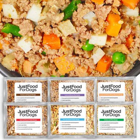 Fresh Dog Food Sampler Variety Pack